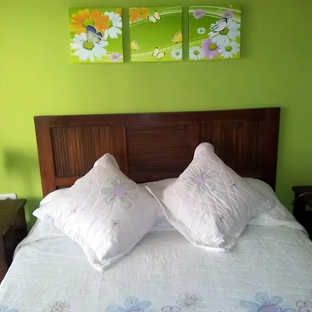 公寓 Apartamento Golf Del Sur 圣米格尔德阿沃纳